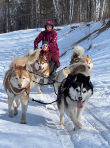 Собачьи упряжки (по предварительным заявкам)